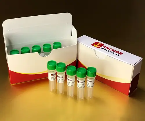 RNAFusion