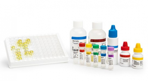 TECHLAB lactoferrin scan imga 545 LabRaum