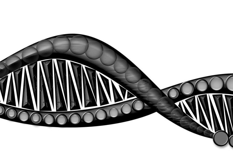 Bild von QNOSTICS jetzt bei LabRaum erhältlich