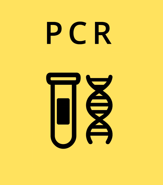 PCR2