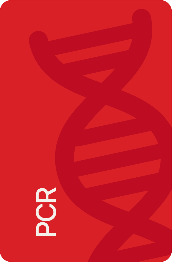 PNG PCR 580x830@2x
